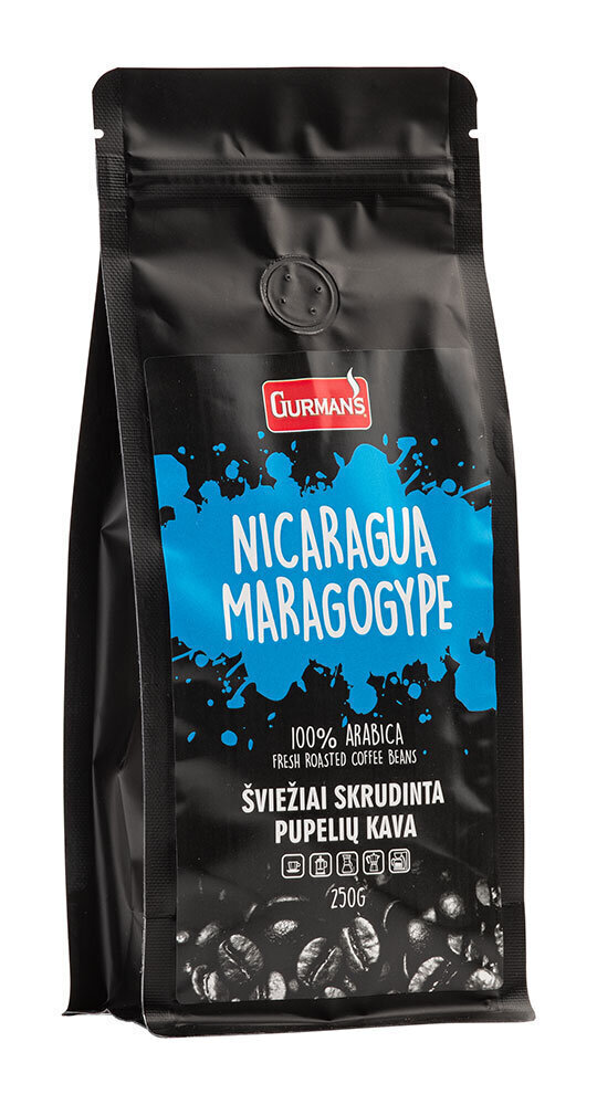 Gurman's Nicaragua Maragogype kafijas pupiņas, 250g cena un informācija | Kafija, kakao | 220.lv