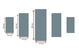 Piecu daļu reprodukcija Tramvajs цена и информация | Картины | 220.lv