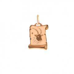 Золотой кулон со знаком зодиака ''Козерог'' ZKZ033/1 цена и информация | Украшения на шею | 220.lv