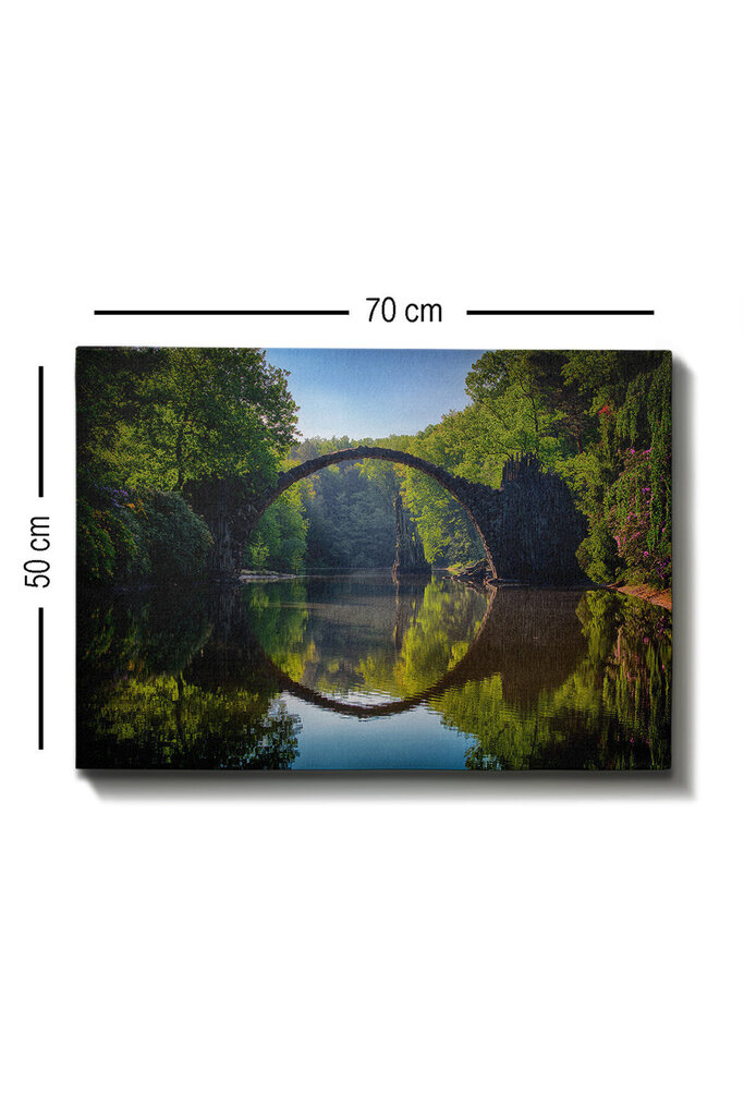Reprodukcija Tilts pār upi cena un informācija | Gleznas | 220.lv