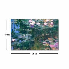 Reprodukcija Ūdens lilijas (Claude Monet) cena un informācija | Gleznas | 220.lv