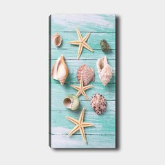 Репродукция Морские раковины цена и информация | Картины | 220.lv