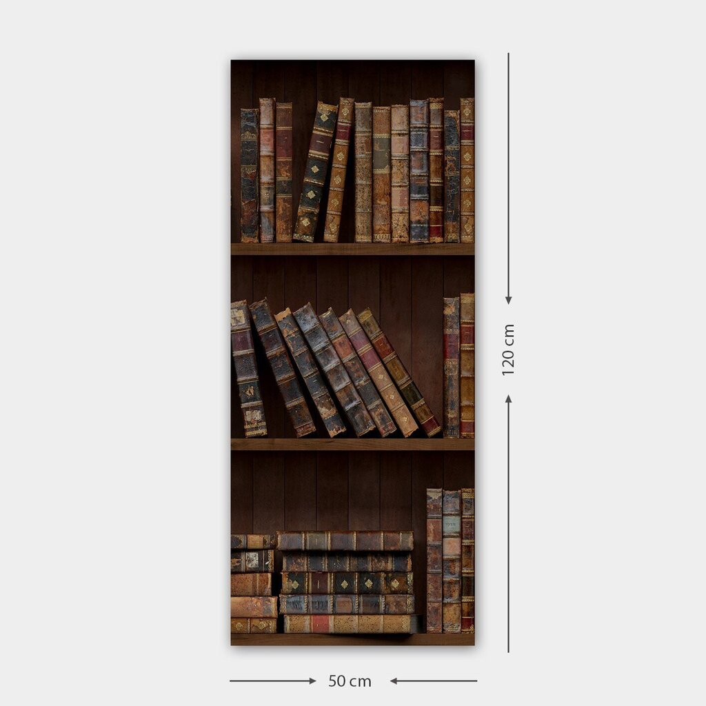 Reprodukcija Grāmatu plaukti цена и информация | Gleznas | 220.lv