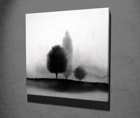 Репродукция Деревья в тумане (черно-белая) цена и информация | Картины | 220.lv