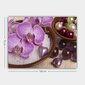 Reprodukcija Orhidejas cena un informācija | Gleznas | 220.lv