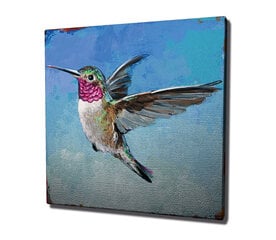 Reprodukcija Kolibri цена и информация | Картины | 220.lv