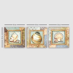 Репродукция из трех частей Раковины цена и информация | Картины | 220.lv