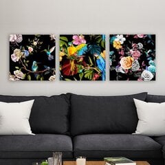 Репродукция из трех частей Колибри и попугаи среди цветов цена и информация | Картины | 220.lv
