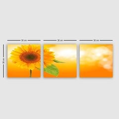 Trīs daļu reprodukcija Saulespuķe cena un informācija | Gleznas | 220.lv
