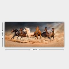 Reprodukcija Lidojošie zirgi cena un informācija | Gleznas | 220.lv