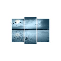 Репродукция из трех частей Летящие птицы в лунном свете цена и информация | Картины | 220.lv