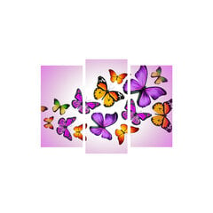 Репродукция из трех частей Орхидея и бабочка цена и информация | Картины | 220.lv