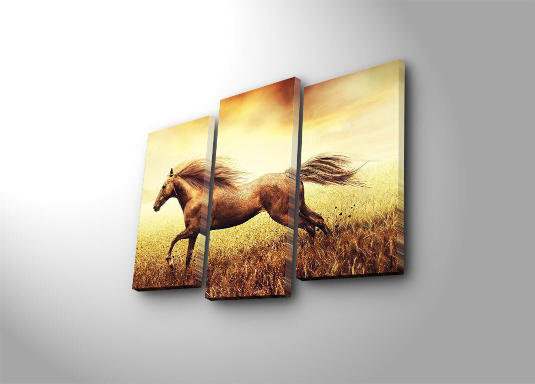 Trīs daļu reprodukcija Zirgs ārā cena un informācija | Gleznas | 220.lv