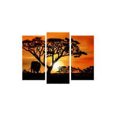 Trīs daļu reprodukcija Āfrikas ainava cena un informācija | Gleznas | 220.lv