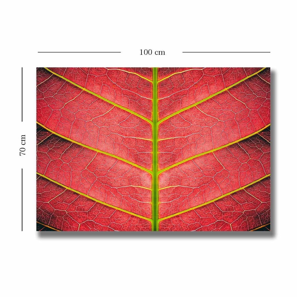 Reprodukcija Sarkana koka lapa cena un informācija | Gleznas | 220.lv