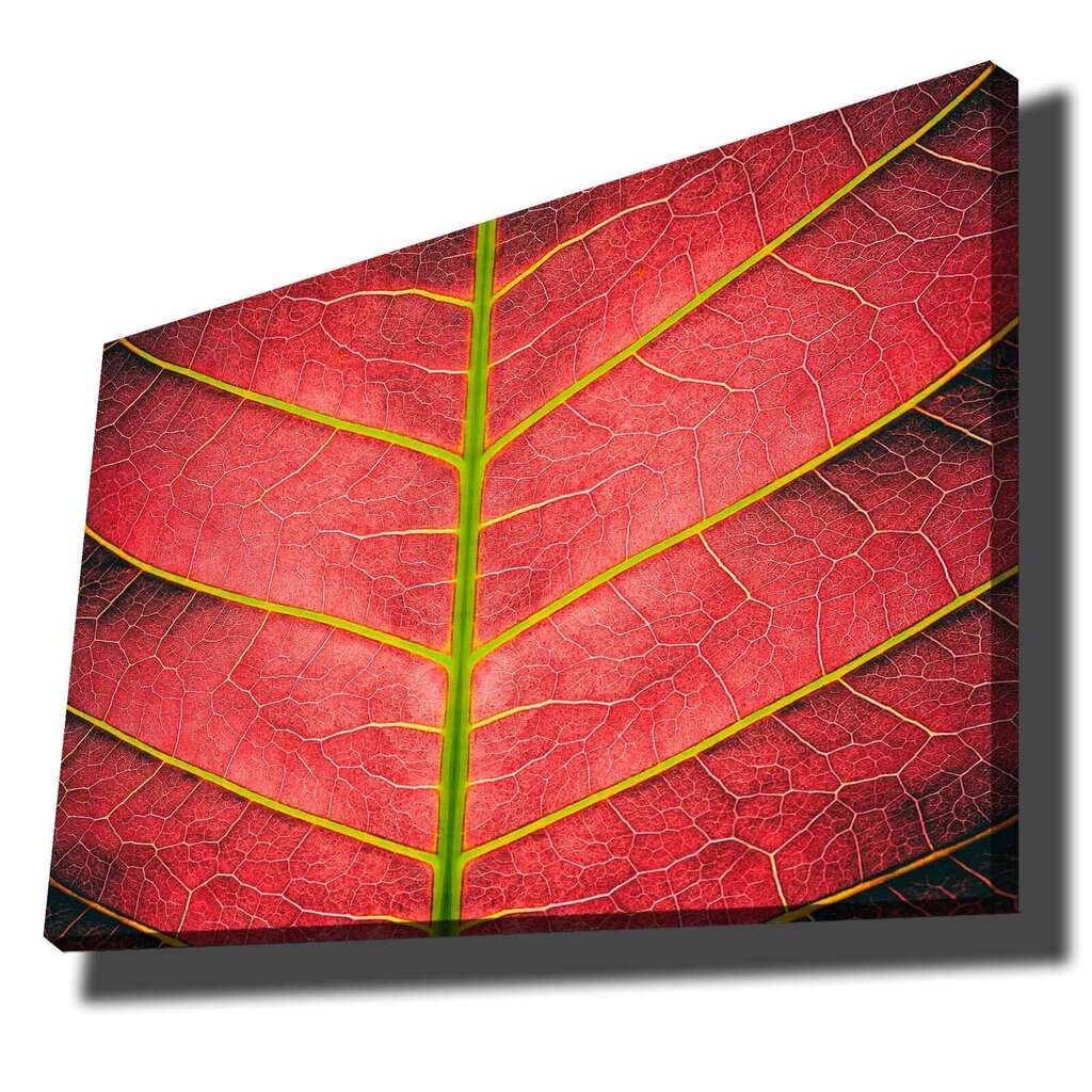 Reprodukcija Sarkana koka lapa cena un informācija | Gleznas | 220.lv