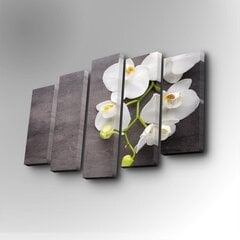 Репродукция из пяти частей Орхидея белая цена и информация | Картины | 220.lv