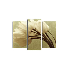Triju daļu reprodukcija Baltas tulpes cena un informācija | Gleznas | 220.lv