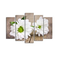 Репродукция из пяти частей Белые цветы цена и информация | Картины | 220.lv