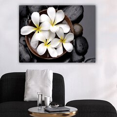 Reprodukcija Zied balti ziedi цена и информация | Картины | 220.lv