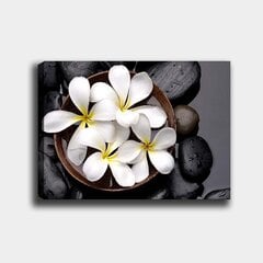 Reprodukcija Zied balti ziedi cena un informācija | Gleznas | 220.lv