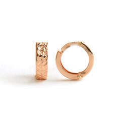 Золотые серьги-кольца с алмазной огранкой ZAG471 цена и информация | Серьги | 220.lv