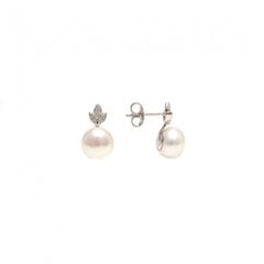 Sudraba auskari ar balto pērli SAAE12611ZWFM SAAE12611ZWFM cena un informācija | Auskari | 220.lv