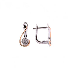 Серебряные серьги SAAE2898ZPB цена и информация | Серьги | 220.lv