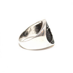 Серебряное кольцо SGZKY-1216 цена и информация | Кольца | 220.lv