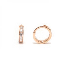 Золотые серьги - кольца ZAL3165 цена и информация | Серебряный кулон | 220.lv
