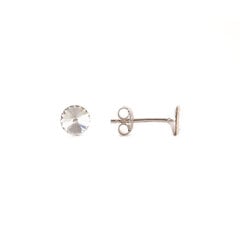 Серебряные серьги - гвоздики SAK1122SS29C цена и информация | Серьги | 220.lv