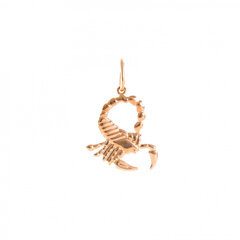 Золотой кулон со знаком зодиака ''Скорпион'' ZKAZODA/11 цена и информация | Украшения на шею | 220.lv