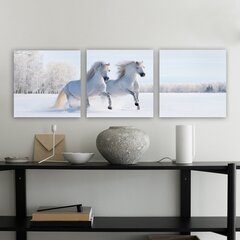 Trīs daļu reprodukcija Baltie zirgi cena un informācija | Gleznas | 220.lv