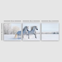 Репродукция из трех частей Белые лошади цена и информация | Картины | 220.lv
