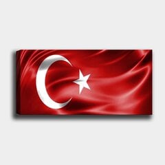 Reprodukcija Turcijas karogs cena un informācija | Gleznas | 220.lv
