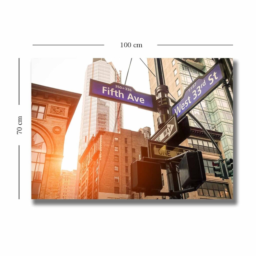 Reprodukcija Ņujorkas ielu zīmes cena un informācija | Gleznas | 220.lv