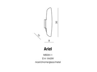 Azzardo настенный светильник Ariel цена и информация | Настенные светильники | 220.lv