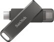 SanDisk SDIX70N-128G-GN6NE цена и информация | USB Atmiņas kartes | 220.lv