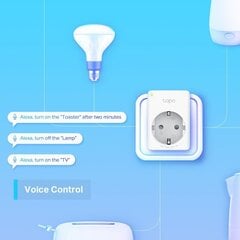 TP-LINK TAPO P100 MINI SMART WIFI SOCKET 4P цена и информация | Smart устройства и аксессуары | 220.lv