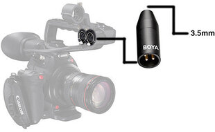 Boya adapter 3,5mm TRS - XLR BY-35C-XLR цена и информация | Прочие аксессуары для фотокамер | 220.lv