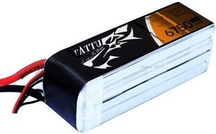 Аккумулятор Tattu 6750 мАч, 14.8 В, 25C 4S1P цена и информация | Smart устройства и аксессуары | 220.lv