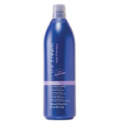 Šampūns bojātiem matiem Inebrya Ice Cream Age Therapy, 1000 ml cena un informācija | Šampūni | 220.lv