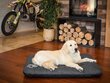 Hobbydog matracis mājdzīvniekam Eco Prestige Black Ekolen, R1, 90x60 cm cena un informācija | Suņu gultas, spilveni, būdas | 220.lv