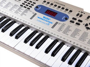 Синтезатор с микрофоном SD-6111A, 61 клавиша золото цена и информация | Развивающие игрушки | 220.lv