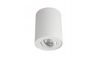Azzardo griestu lampa Bross 1 White цена и информация | Потолочные светильники | 220.lv