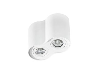 Azzardo потолочный светильник Bross 2 White цена и информация | Потолочные светильники | 220.lv