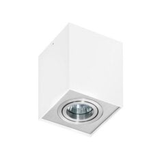 Azzardo griestu lampa Eloy 1 White/Silver цена и информация | Потолочные светильники | 220.lv