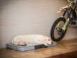 Hobbydog matracis Premium Light Grey Ekolen/Skaj L, 100x67 cm цена и информация | Suņu gultas, spilveni, būdas | 220.lv