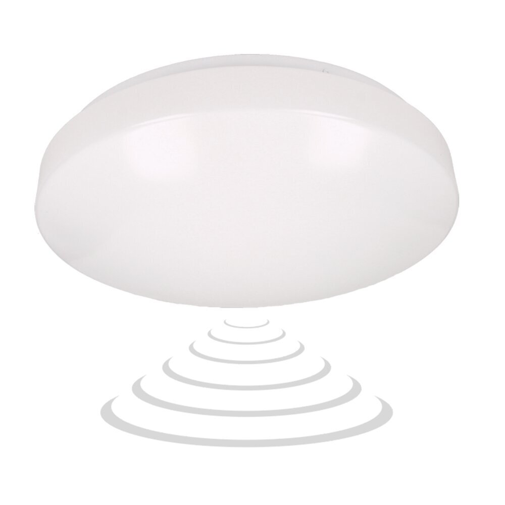 LED gaismeklis 12W ar mikroviļņu sensoru цена и информация | Griestu lampas | 220.lv