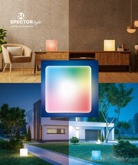 LED daudzfunkcionāls dekoratīvs gaismeklis RGBW ar pulti цена и информация | Торшеры | 220.lv